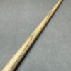 IMG 2573