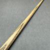 IMG 2761